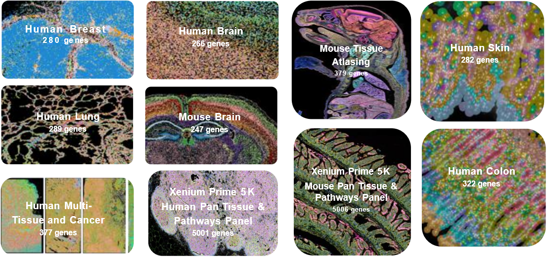 20250530118586.png image.png