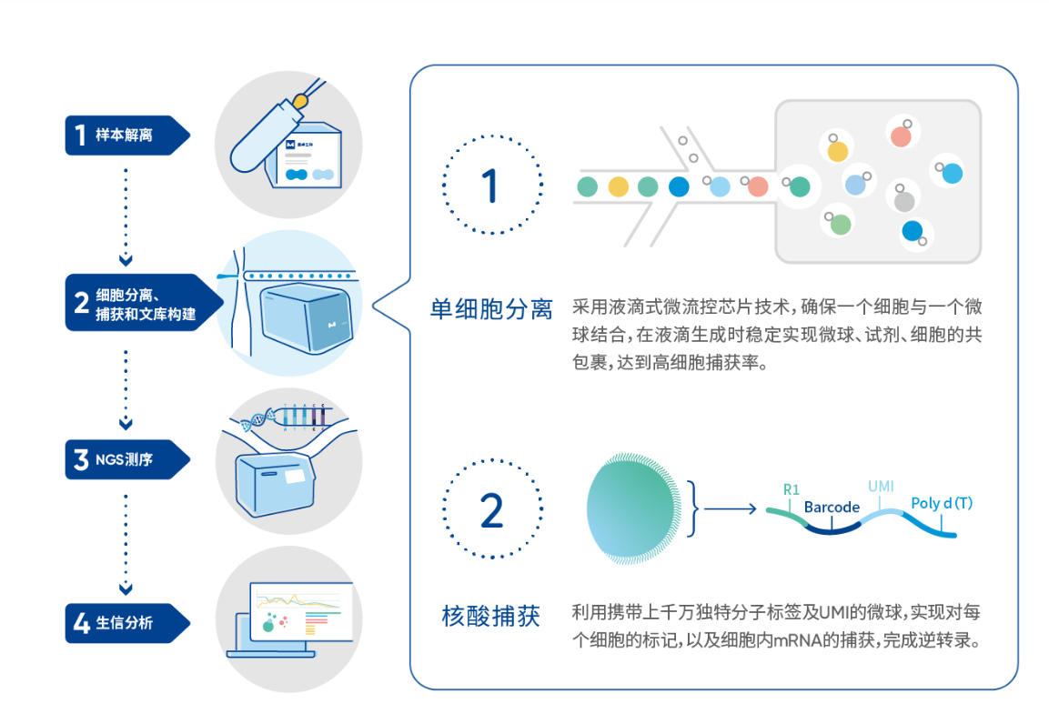 20250613245367.png image.png