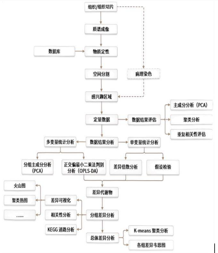 20250701781629.png image.png