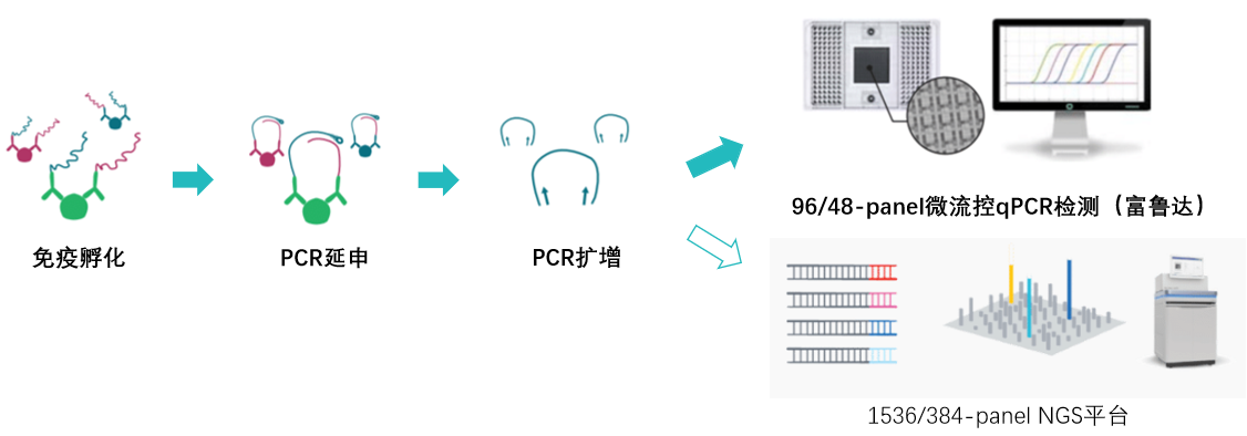 20250709279964.png image.png