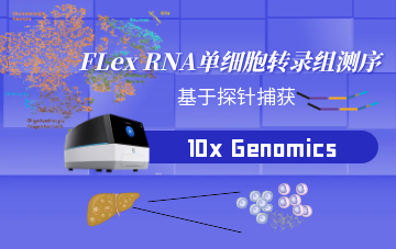 FLex RNA單細(xì)胞轉(zhuǎn)錄組測序