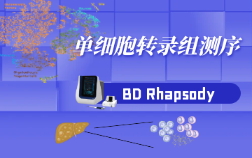 單細胞轉(zhuǎn)錄組測序