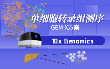 GEM-X單細(xì)胞測(cè)序方案
