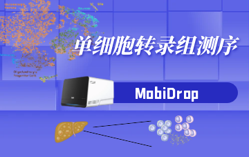 單細(xì)胞轉(zhuǎn)錄組測(cè)序