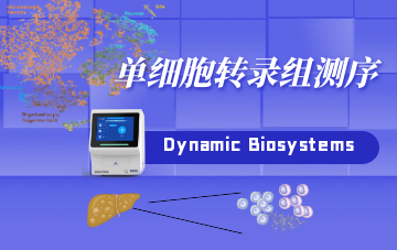 單細(xì)胞轉(zhuǎn)錄組測序