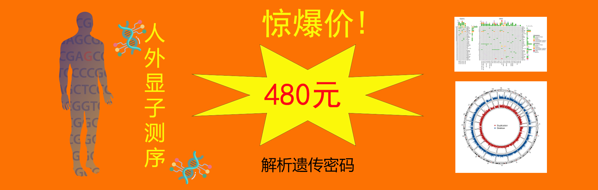 點(diǎn)擊這里