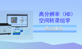 DynaSpatial HD（高分辨率）空間轉(zhuǎn)錄組測(cè)序
