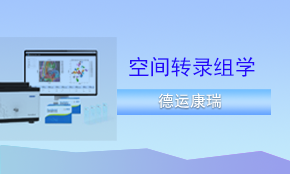 DynaSpatial空間轉(zhuǎn)錄組