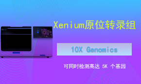 Xenium 單細胞空間轉錄組