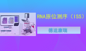 RNA原位測(cè)序（ISS）