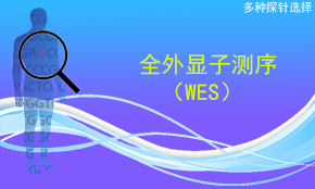 全外顯子測(cè)序