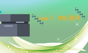 Small RNA測序