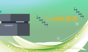LncRNA測序