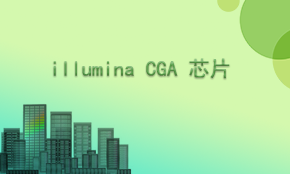 Illumina CGA SNP基因芯片檢測(cè)