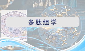 多肽組學(xué)