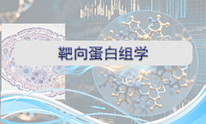 靶向蛋白組學(xué)