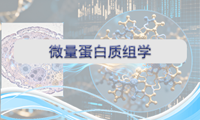 微量蛋白質(zhì)組學(xué)