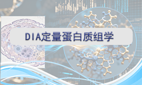 DIA定量蛋白組學(xué)（TOF/Astral）