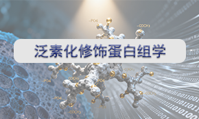 泛素化修飾蛋白組學(xué)