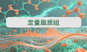 定量脂質(zhì)組